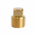 Atc 3/8 in. MPT Brass Square Head Cored Plug 6JC120810701013